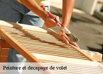Peinture et décapage de volet Creuse 