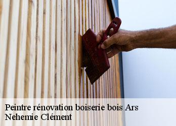 Peintre rénovation boiserie bois  ars-23480 Nehemie Clément 