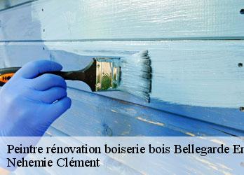 Peintre rénovation boiserie bois bellegarde-en-marche-23190 Nehemie Clément