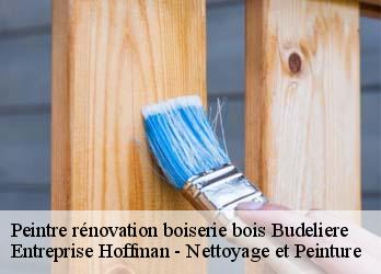 Peintre rénovation boiserie bois  23170