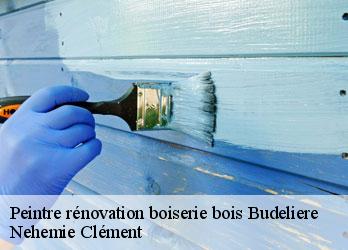 Peintre rénovation boiserie bois  budeliere-23170 Nehemie Clément 