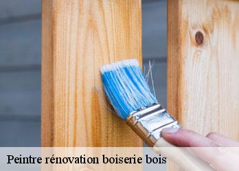 Peintre rénovation boiserie bois  bussiere-nouvelle-23700 Nehemie Clément 