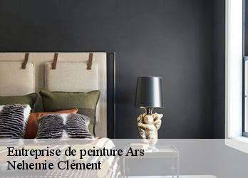 Entreprise de peinture ars-23480 Nehemie Clément