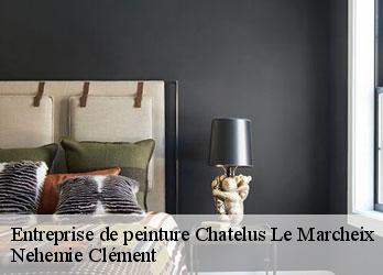 Entreprise de peinture chatelus-le-marcheix-23430 Nehemie Clément