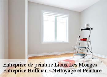 Entreprise de peinture  23700