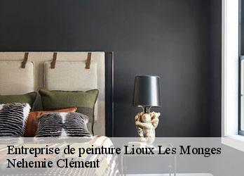 Entreprise de peinture  lioux-les-monges-23700 Nehemie Clément 