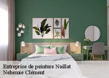 Entreprise de peinture  naillat-23800 Nehemie Clément 