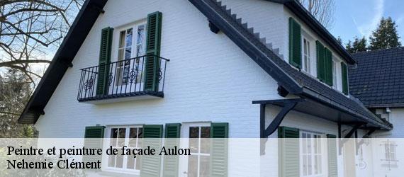 Peintre et peinture de façade aulon-23210 Nehemie Clément
