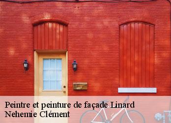 Peintre et peinture de façade  linard-23220 Nehemie Clément 