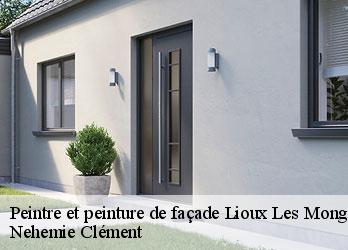 Peintre et peinture de façade  lioux-les-monges-23700 Nehemie Clément 