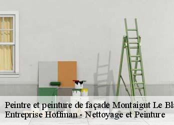 Peintre et peinture de façade  23320
