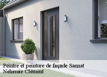 Peintre et peinture de façade  sannat-23110 Nehemie Clément 