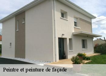 Peintre et peinture de façade soubrebost-23250 Nehemie Clément