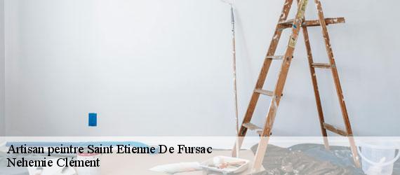 Artisan peintre saint-etienne-de-fursac-23290 Nehemie Clément