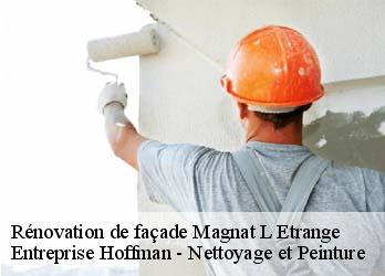 Rénovation de façade  23260