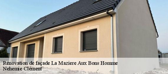 Rénovation de façade  la-maziere-aux-bons-homme-23260 Nehemie Clément 