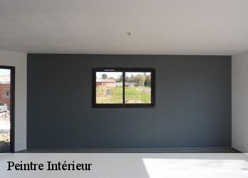 Peintre Intérieur  savennes-23000 Nehemie Clément 