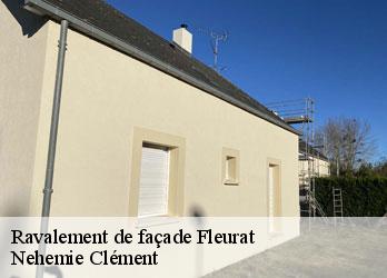 Ravalement de façade  fleurat-23320 Nehemie Clément 
