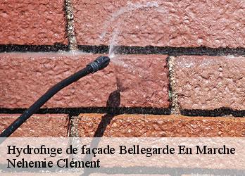 Hydrofuge de façade  bellegarde-en-marche-23190 Nehemie Clément 