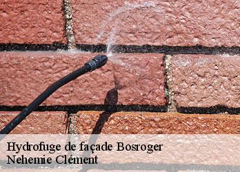 Hydrofuge de façade bosroger-23200 Nehemie Clément