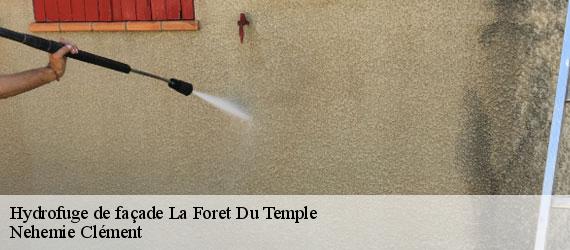 Hydrofuge de façade  la-foret-du-temple-23360 Nehemie Clément 