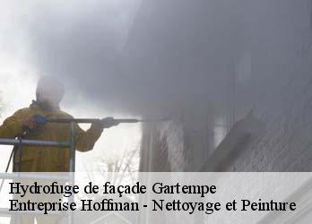 Hydrofuge de façade  23320