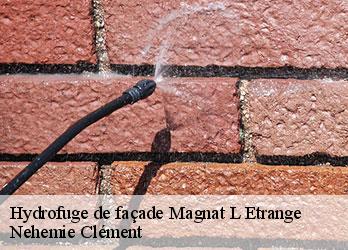 Hydrofuge de façade  magnat-l-etrange-23260 Nehemie Clément 