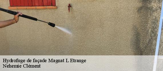 Hydrofuge de façade  magnat-l-etrange-23260 Nehemie Clément 