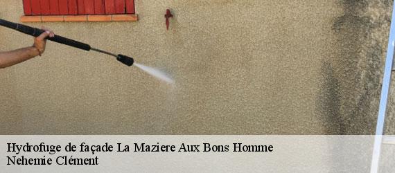 Hydrofuge de façade  la-maziere-aux-bons-homme-23260 Nehemie Clément 