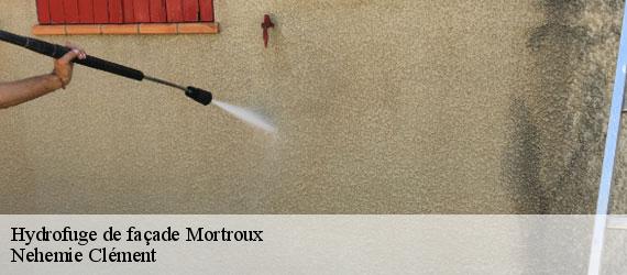 Hydrofuge de façade mortroux-23220 Nehemie Clément