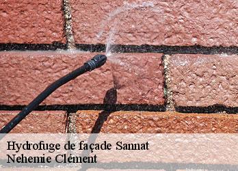 Hydrofuge de façade sannat-23110 Nehemie Clément