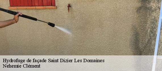 Hydrofuge de façade  saint-dizier-les-domaines-23270 Nehemie Clément 