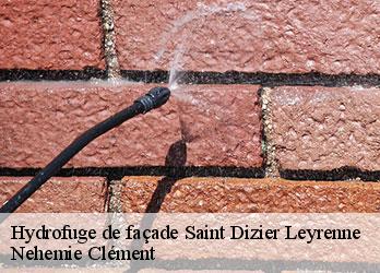 Hydrofuge de façade  saint-dizier-leyrenne-23400 Nehemie Clément 