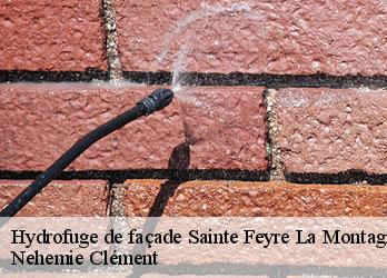 Hydrofuge de façade  sainte-feyre-la-montagne-23500 Nehemie Clément 