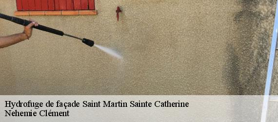 Hydrofuge de façade  saint-martin-sainte-catherine-23430 Nehemie Clément 