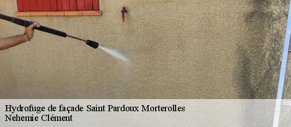 Hydrofuge de façade saint-pardoux-morterolles-23400 Nehemie Clément
