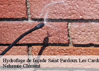Hydrofuge de façade  saint-pardoux-les-cards-23150 Nehemie Clément 
