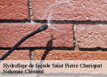 Hydrofuge de façade saint-pierre-cheriqnat-23430 Nehemie Clément