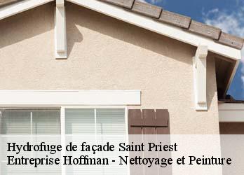 Hydrofuge de façade  23110