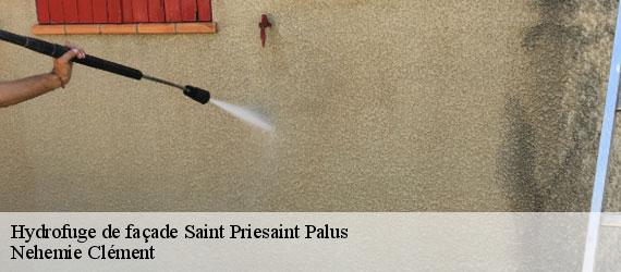 Hydrofuge de façade  saint-priesaint-palus-23400 Nehemie Clément 