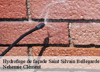 Hydrofuge de façade saint-silvain-bellegarde-23190 Nehemie Clément