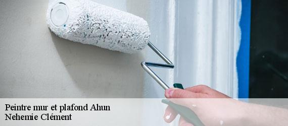 Peintre mur et plafond  ahun-23150 Nehemie Clément 