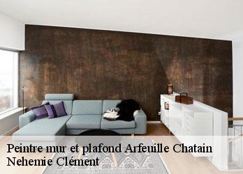 Peintre mur et plafond arfeuille-chatain-23700 Nehemie Clément