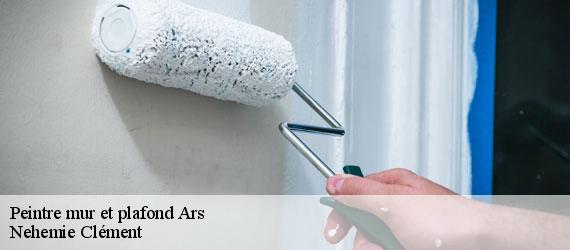 Peintre mur et plafond  ars-23480 Nehemie Clément 