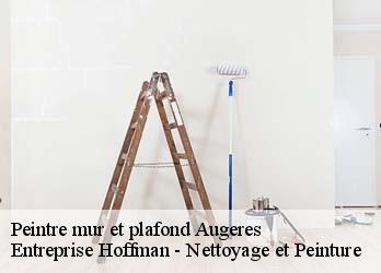 Peintre mur et plafond  23210