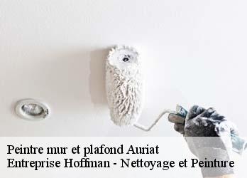 Peintre mur et plafond  23400