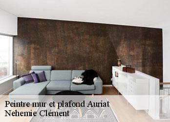 Peintre mur et plafond  auriat-23400 Nehemie Clément 