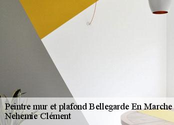 Peintre mur et plafond  bellegarde-en-marche-23190 Nehemie Clément 