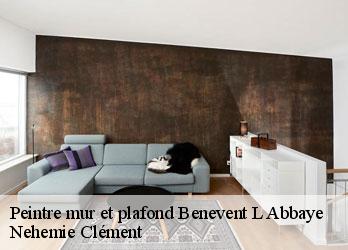 Peintre mur et plafond  benevent-l-abbaye-23210 Nehemie Clément 