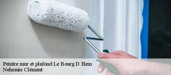 Peintre mur et plafond  le-bourg-d-hem-23220 Nehemie Clément 